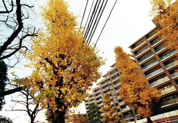 Devant l'hôpital Nisseki, Azabu