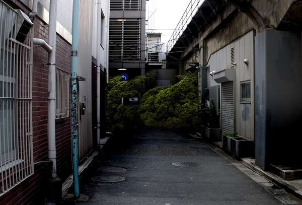 green-wave