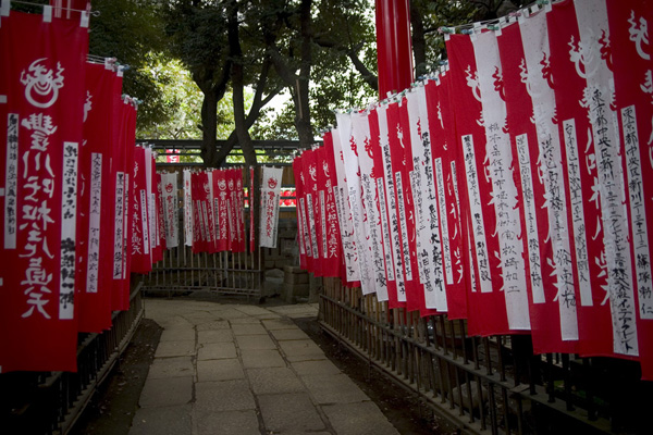 akasaka-toyokawa-inari