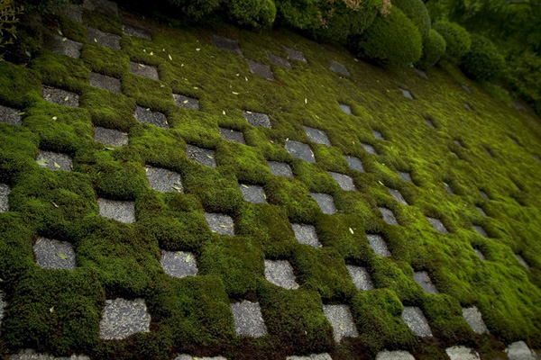 tofukuji-jardins