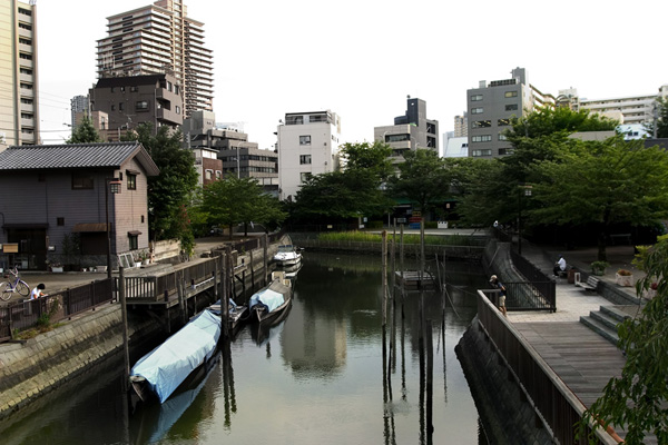tsukishima