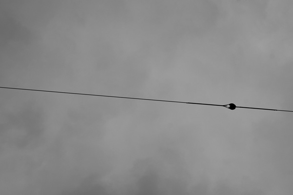 electrique