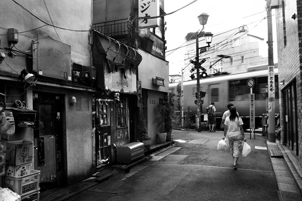 shimokita