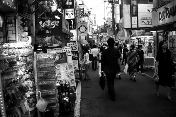 shimokita