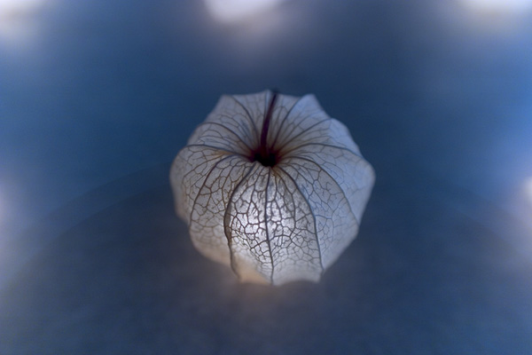 objet