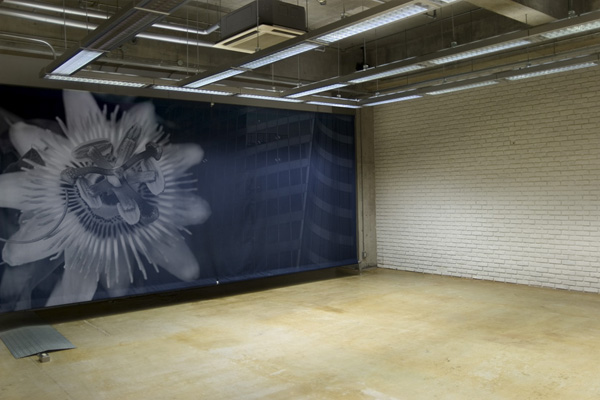 projection-daikanyama