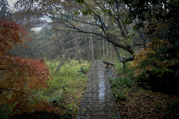 Kamakura Kohan