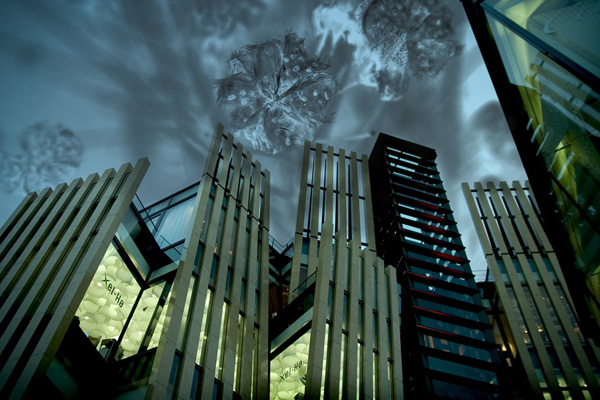 immeuble et ciel fleuri