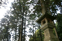 hakone034.jpg