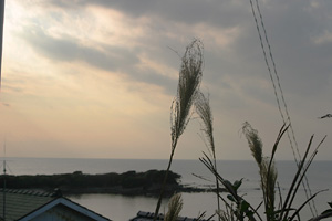 hayama.jpg