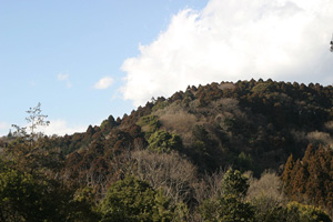 kamakurakohan.jpg