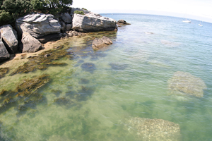 noirmoutier002.jpg