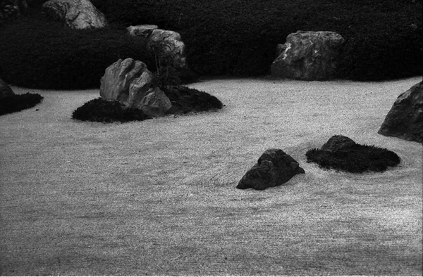Mer Rocheuse
