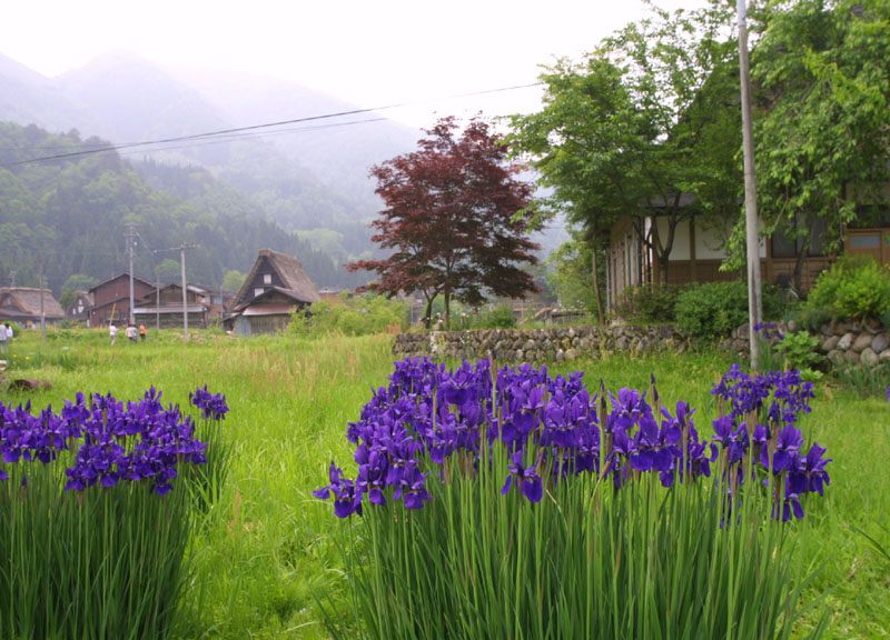 6_shirakawago54_jpg